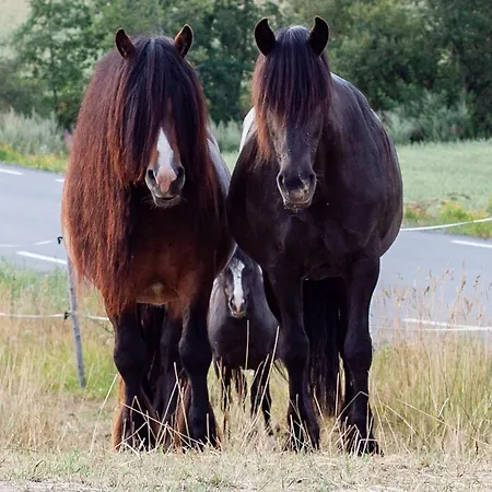 Gæstehus Bilitt Gard *