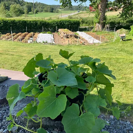 Bilitt Gard Konukevi